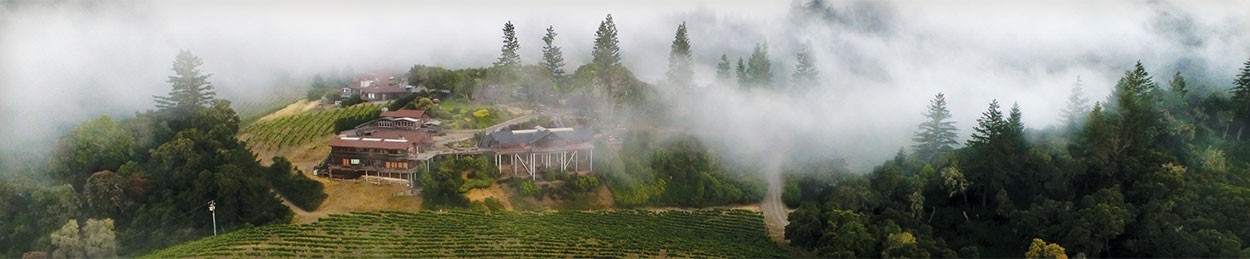 Vineyard and Winery