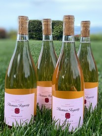 2024 'Rosalee' Rose 8-pack