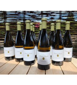 2019 SCM Chardonnay Case (12 Bottles)